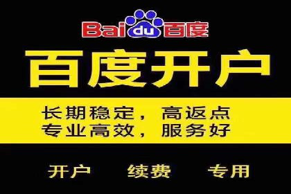 百度推广公司案例研究：揭秘电商行业爆款打造秘诀